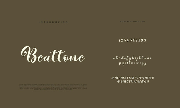 Signature Font Calligraphy Logotype Script Brush Font Type Font lettering handwritten