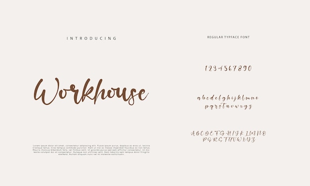Signature Font Calligraphy Logotype Script Brush Font Type Font lettering handwritten