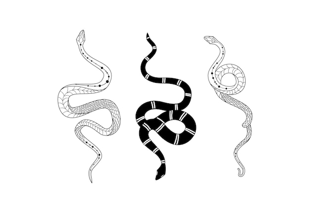 Silhouetted snake designs with intricate details and unique doodling styles in a vector format