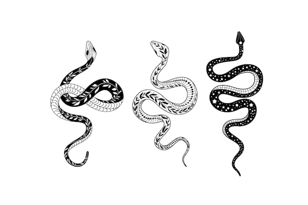 Silhouetted snake designs with intricate details and unique doodling styles in a vector format