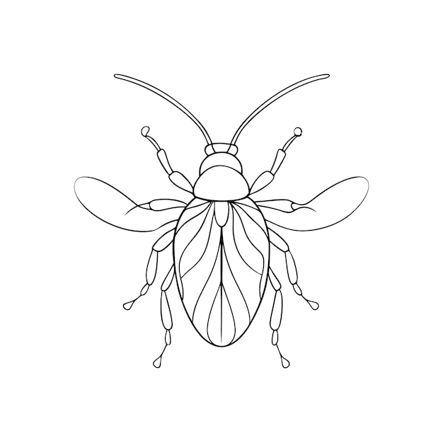 Single line drawing of beetlecoloring page