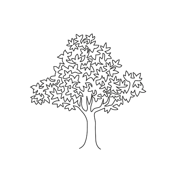 Single one line drawing big exotic acer pseudoplatanus tree for wall art poster Maple plant vector