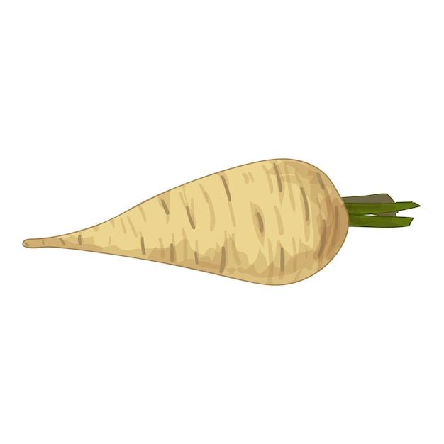 Single parsnip lying horizontally with green stem