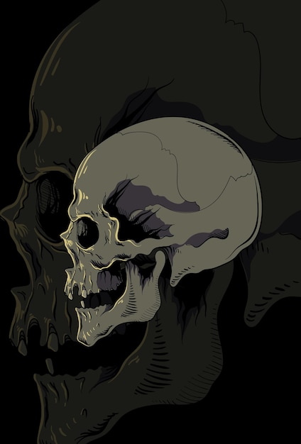 skull vector illustration hand drawing