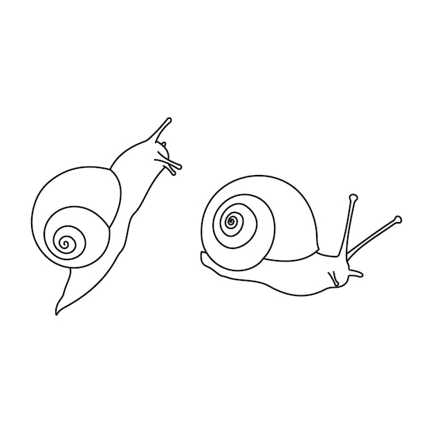 Snail outline illustration
