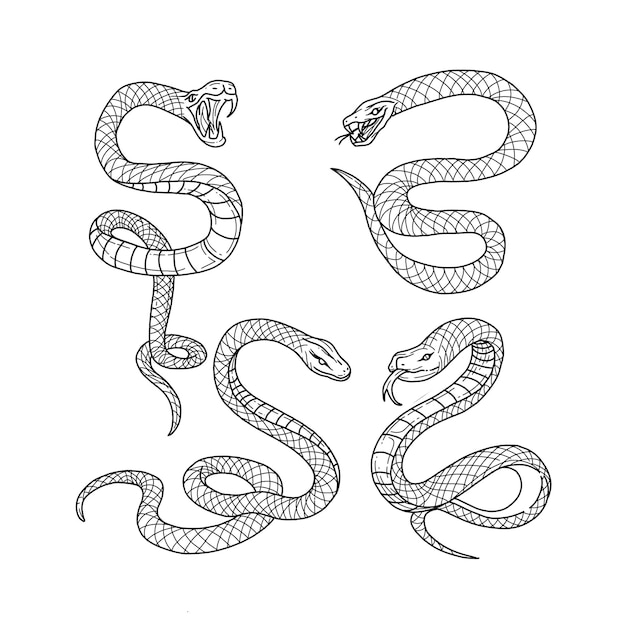 snake handrawn doodle illustrations vector set