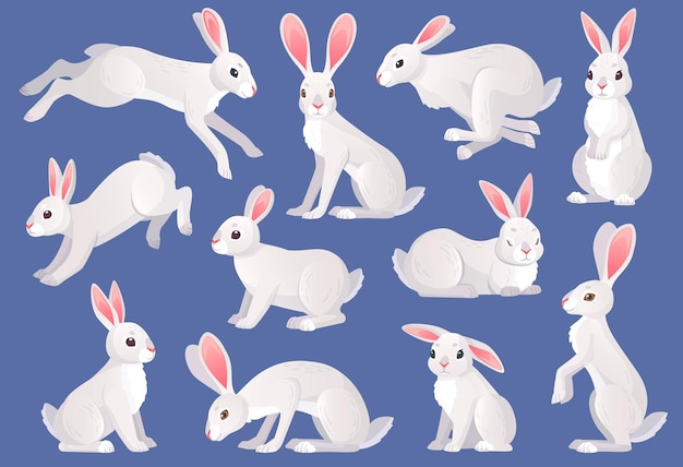 snow hares white furry hare or rabbit pets wild spring bunny character pose collection forest mammal animals running and sitting haring isolated ingenious vector illustration