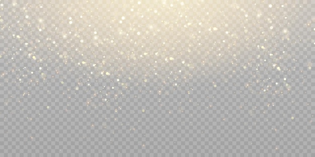 Soft bokeh and lights on a transparent backgroundVector 10 eps