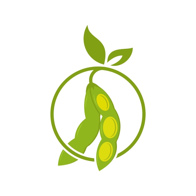 Soya bean design element vector icon with creative modern concept