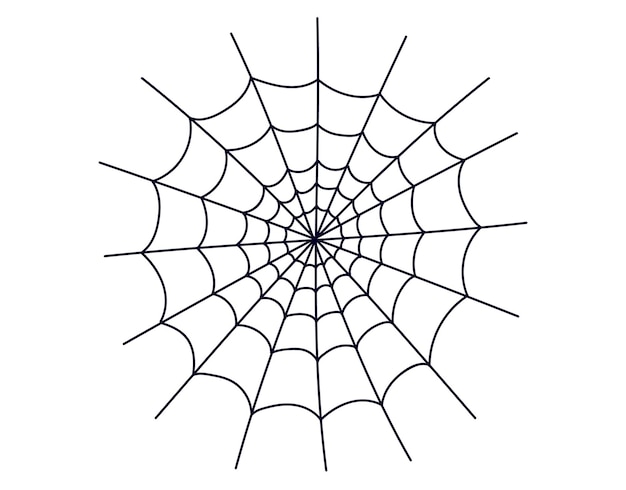spider web cobweb spiderweb isolated on white background graphic design element illustration