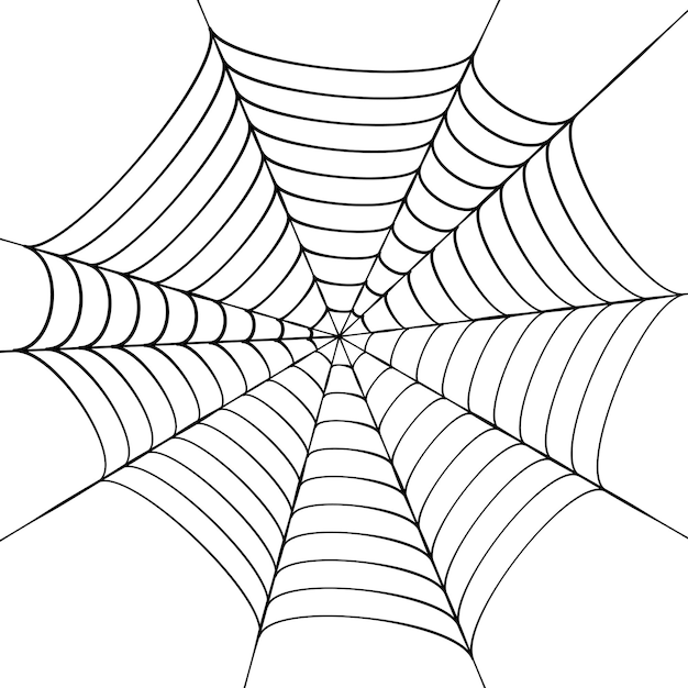 Spider web vector illustration. Halloween decoration with cobweb. Spiderweb outline graphic