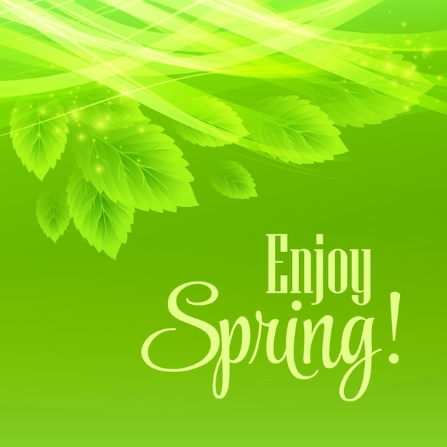 Spring fresh green leaves.  illustration 