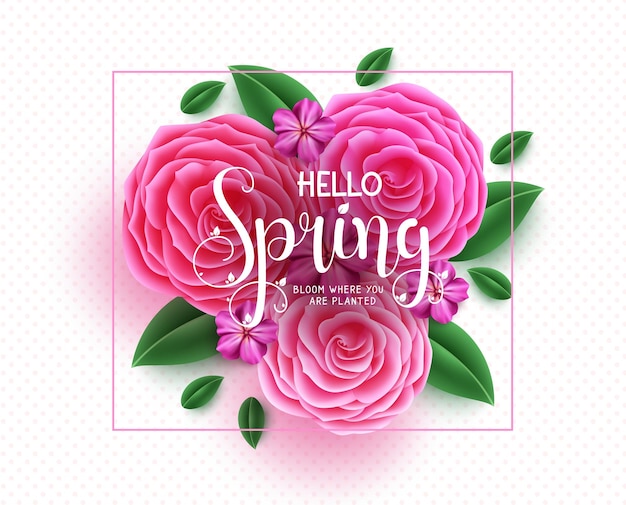 Spring vector background. Hello spring text with rose flower element decoration in frame.