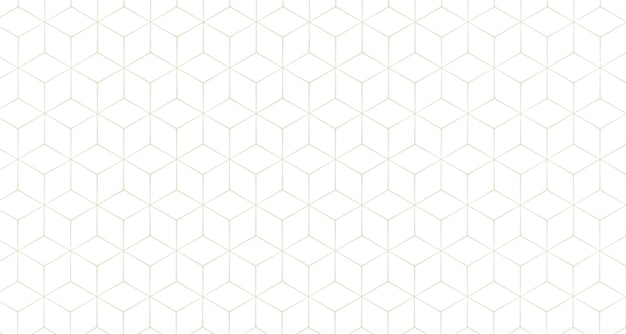 stylish hexagonal line pattern background