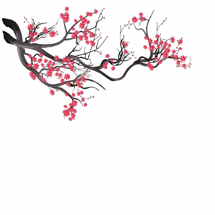 Vektör sulu boya sakura çerçevesi