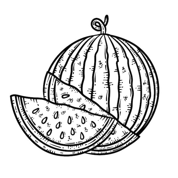 summer watermelon line art coloring page for adult