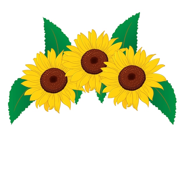 Sunflower floral border sunflower border vector