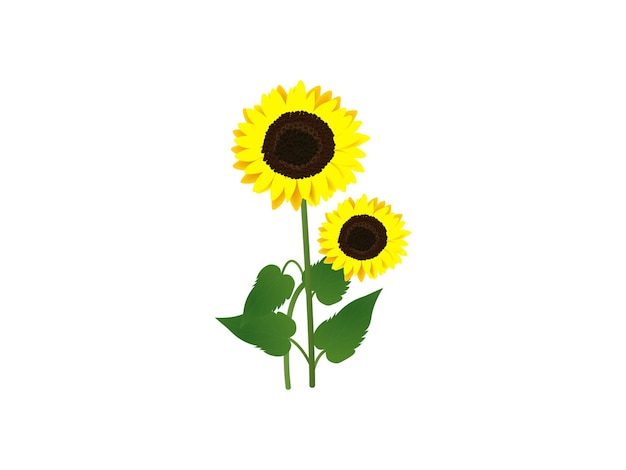 sunflower vector art