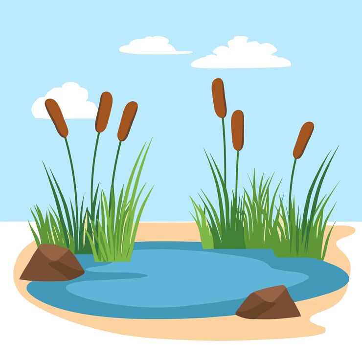 Vektor swamp pond landscape with reed and cattail overgrown pond shore vector