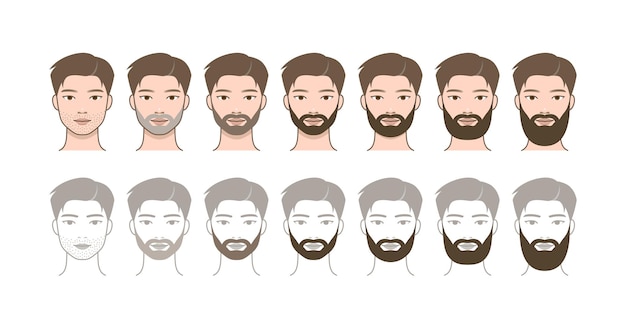 The process of growing a beard Attractive man character with beard before and after