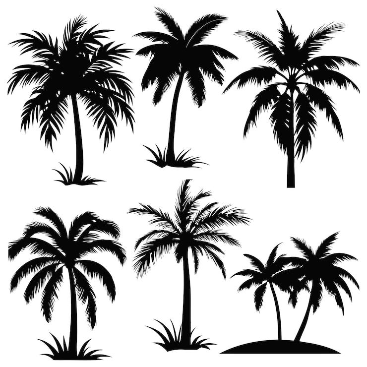 Vektor this set of detailed palm and coconut tree silhouette illustration