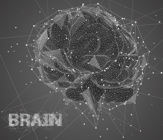threedimensional vector cyber brain neural network megadata processing