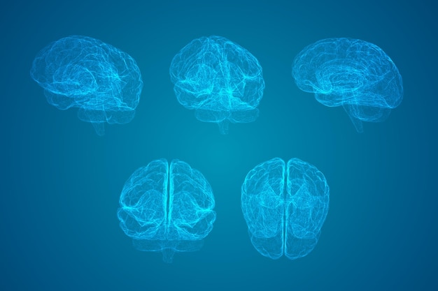 Threedimensional vector cyber brain neural network megadata processing