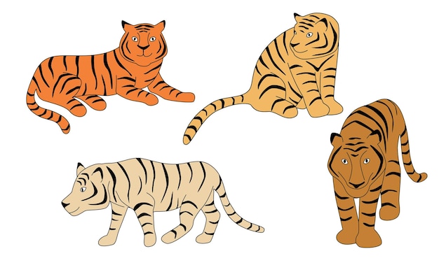 tiger vector set cartoon tiger characters design collection with flat color in different poses