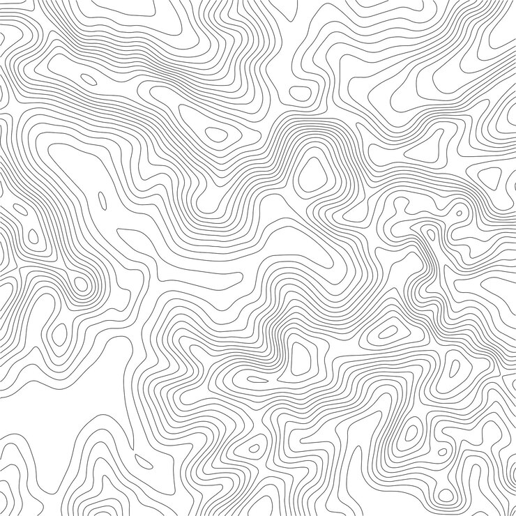 Vektor topografisk kort baggrund gitterkort kontur vektor illustration