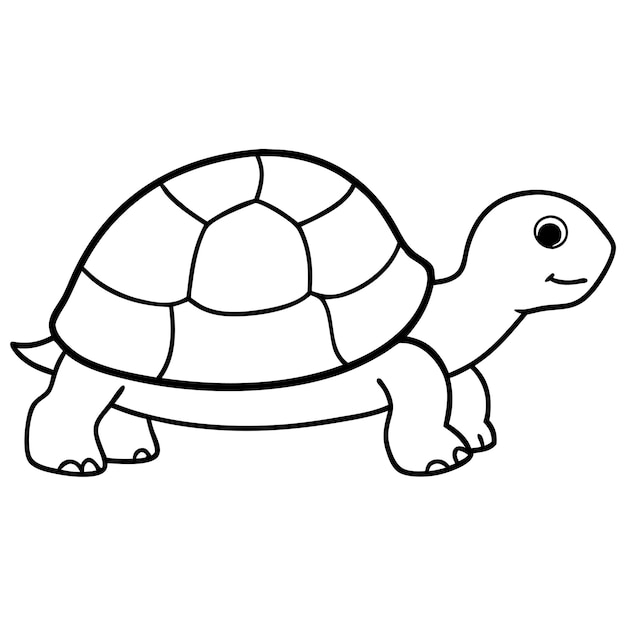 Tortoise line art