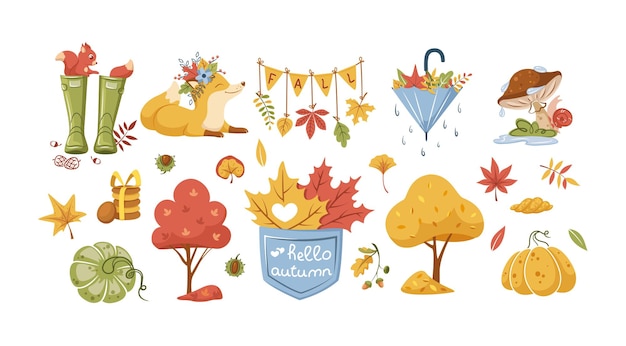 Traditional fall attributes Dry garden trees yellow foliage mushrooms rubber boots animals