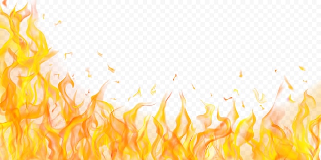 Translucent orange fire flames and sparks on transparent background For used on light illustrations Transparency only in vector format