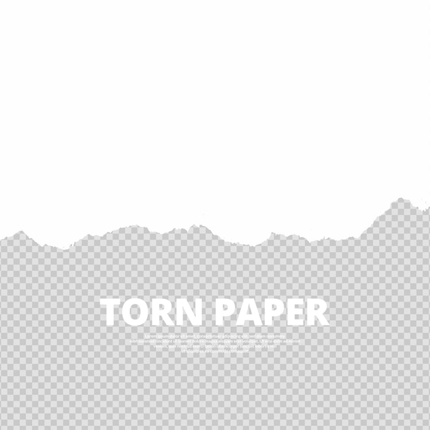 transparent background white color torn paper design with ripped cut effect empty text space banner or post design vector illustration