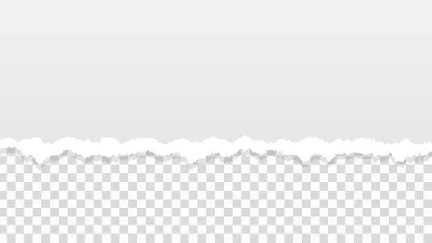 transparent torn paper edge on white background for design