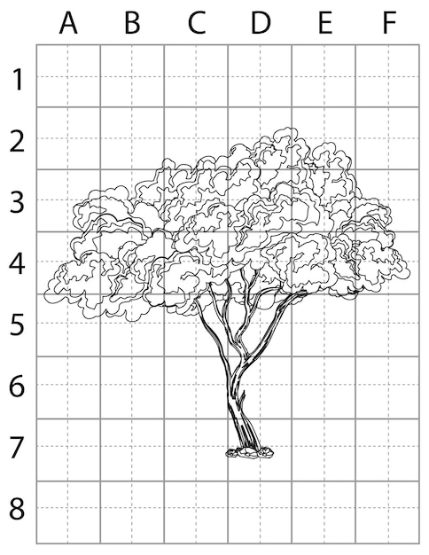 Tree Drawing Page, Learn to Draw Tree, How to Draw Trees, Tree Vector
