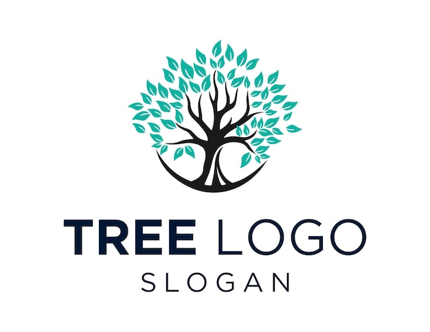 Tree Logo Design