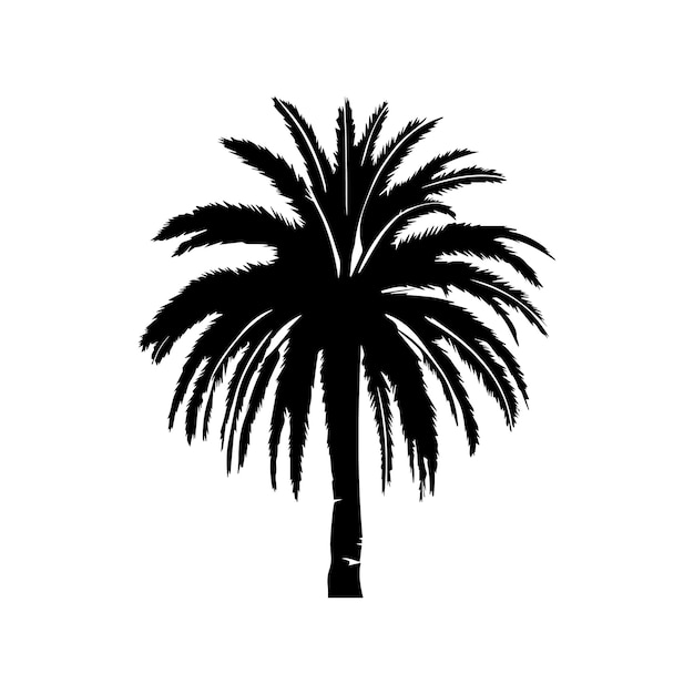 tree vector palm tree silhouettes and a set of palm tree
