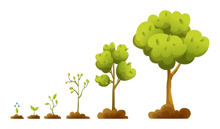 Trees growth stages throughout various times and seasons