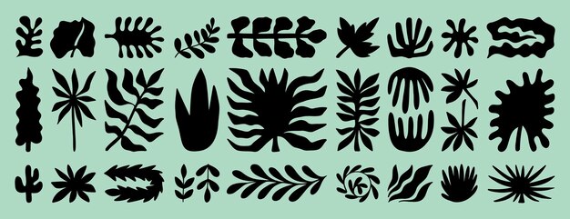 Tropic shapes organic plant leaves form set exotic plants different modern nature floral shapes