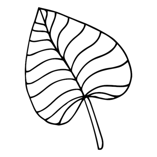Tropical palm leave in sketch style, isolated vector illustration.