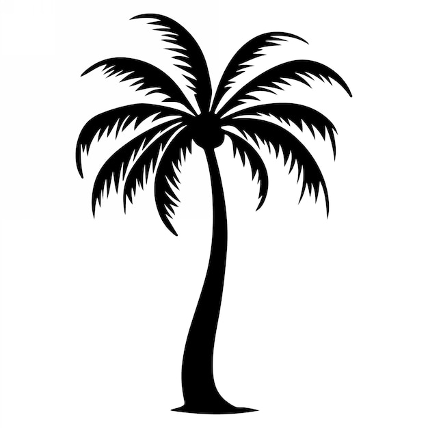Tropical palm trees with leaves and black silhouettes isolated on a white background Vector