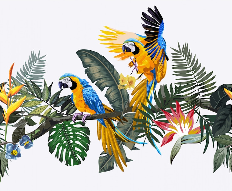 Vektör tropical wild and macaw parrots 