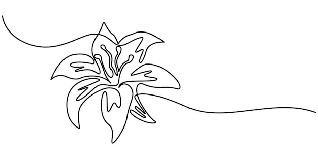 Trout Lily Flower Continuous Line Drawing with Varying Width Editable Stroke Lily flower