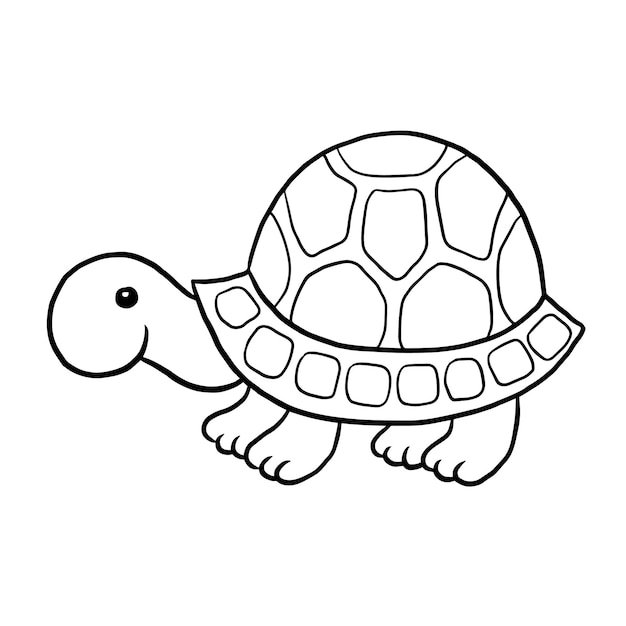 turtle cartoon animal cute kawaii doodle coloring page drawing