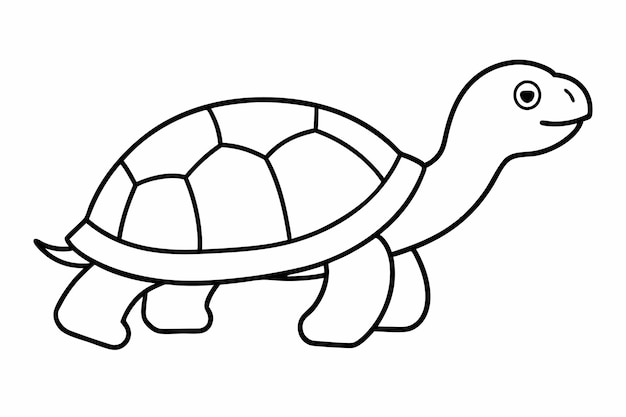 Turtle Vector Line Art Illustration Minimalist Sea Turtle Drawing