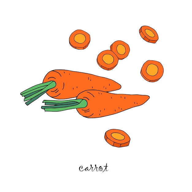 two carrots and carrot slices isolated on white background