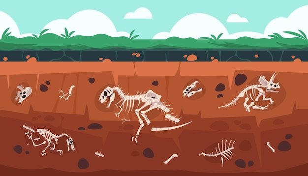 underground fossil cartoon earth ground layers with prehistoric dinosaur skeleton and skull ancient extinct reptile bones science exploration vector geology and paleontology excavation illustration