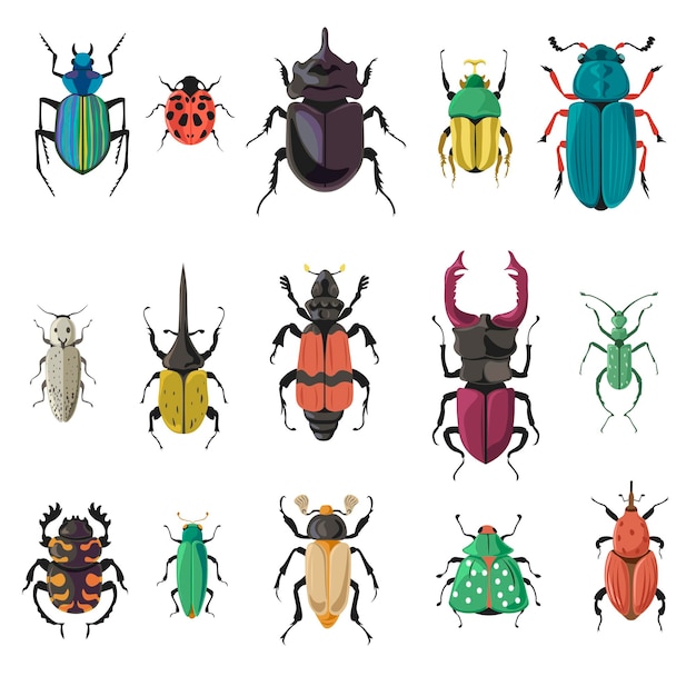 variety of bugs and beetles types and kinds isolated seven pointed ladybug or ladybird stag and moth with wing legs and antennae nature and biodiversity insects species vector in flat style