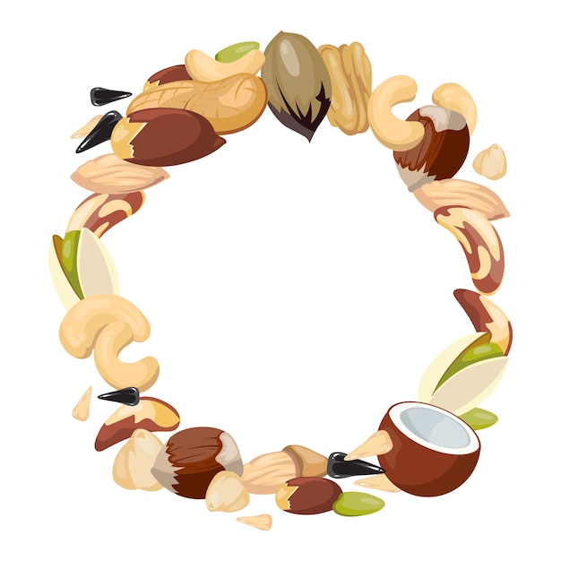 Various nuts blank frame vector illustration