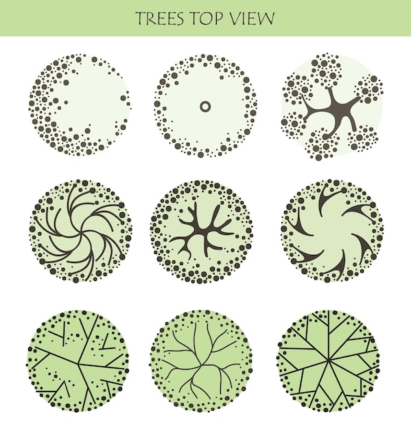 Various trees bushes and shrubs top view for the landscape design plan